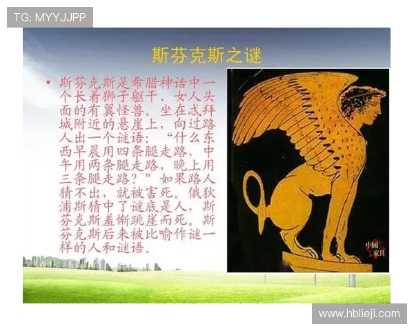 神秘森林深处的秘密与遗失的文明之谜 神秘森林深处的秘密与遗失的文明之谜